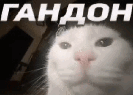 Вложение