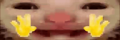 ezgif2.gif