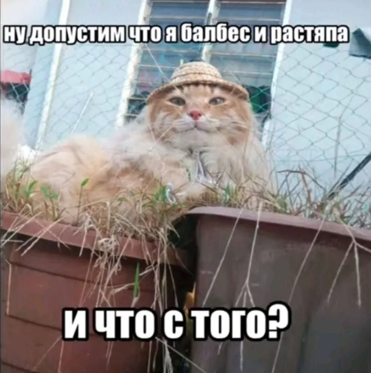 https://media.discordapp.net/attachments/1219337169491984534/1543533209155797042/p25vl9VWhvqBv5leO6FxBhWA9u1uF4Z36cKljGWO6JwUb4vAT0oQB6WH8hivYCmIaXBEmrUqqWnrHomChKuNLX_9.jpg?ex=6a988292&is=6a973112&hm=71c183bbf73d75777b724337e8f57d1a0dd868eb232458455274c64f90d04ade&=&format=webp&width=763&height=768