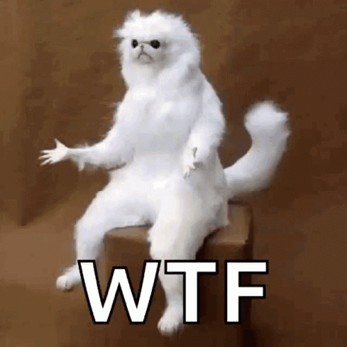 wtf-huh.gif