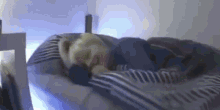 image0.gif