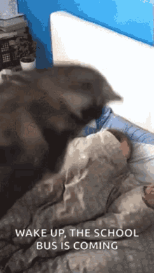 image0.gif