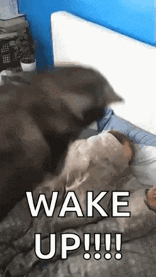 image0.gif