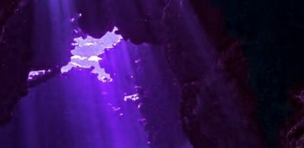 The Orphaner Dualscar's banner