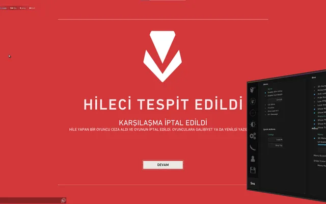 Mitamers Valorant Private müşteri ekran görüntüsü