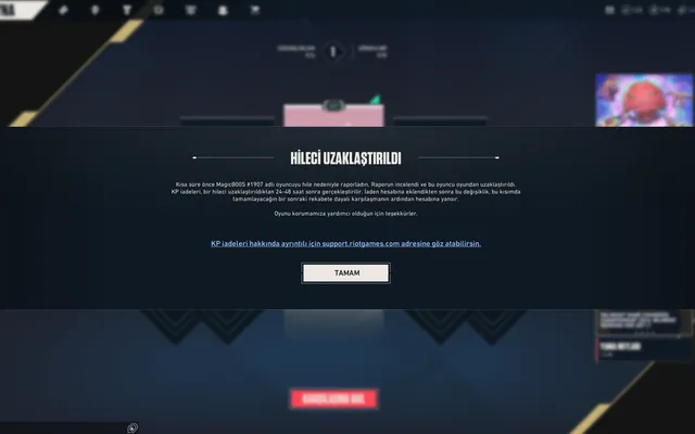 Customer screenshot of Mitamers Valorant Hypervisor + Perm Spoofer Bundle