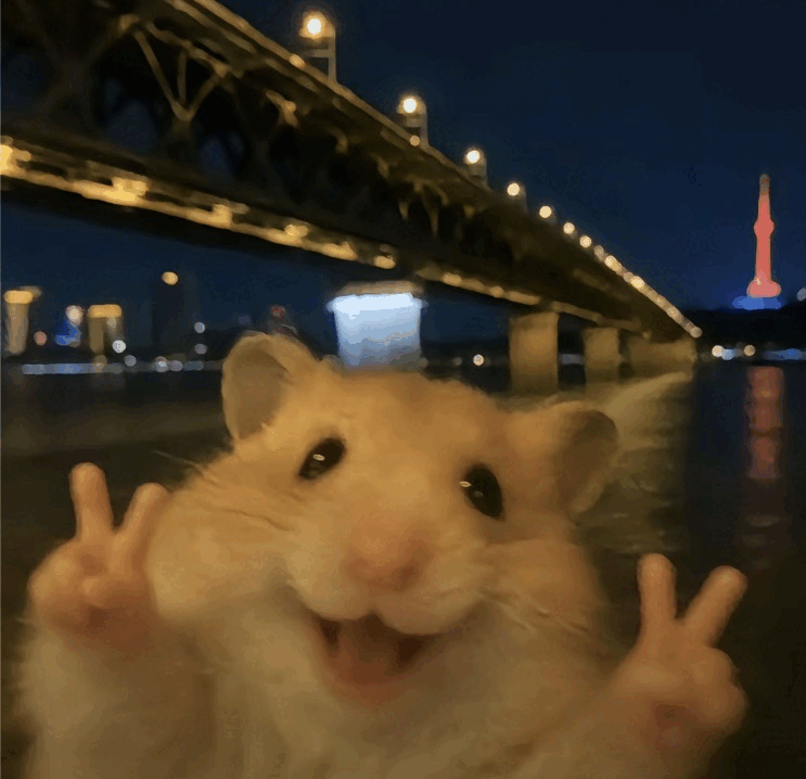 55555.gif