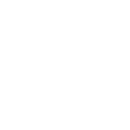 Roblox Studio with Medal