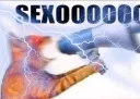SEXOOOO
