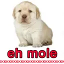 eh mole