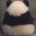 ;-;