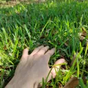touchgrass