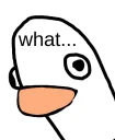 WhatTheDuckingDuck