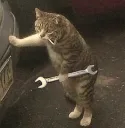 CatFixIt