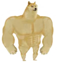 chad doge