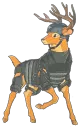Tactical Deer
