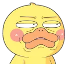 DuckAnnoyed