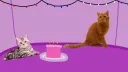 Cat Party1
