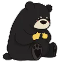 uwu baby bear