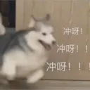 冲呀！