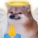 Doge Pray Innocent