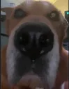 sad