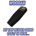 EMF_reader
