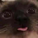 Cat Blep
