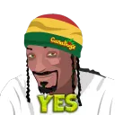 YES