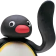 pingu