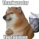 thank you for your opinion