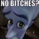 Bitches