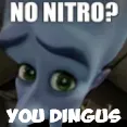 dingus nitro
