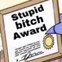 stupid bitch award