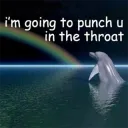 I'm gonna punch u
