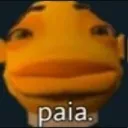 PAIA