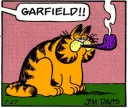 Garfield!