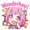 WONDERHOY!