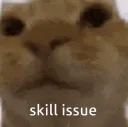 skill issue