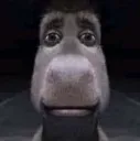 Donkey Dissapoint