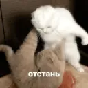 отстань пидараска