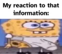 sponge reaction