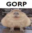 gorp