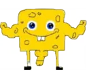 sponge