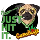 JUST HIT IT
