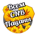 Всем CNB
