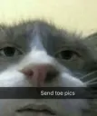 Send Toe Pics