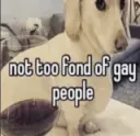 gay