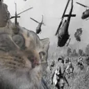 Vietnam Cat