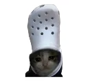cat croc